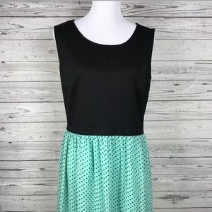 ENFOCUS Mint Polkadot Black Lace Dress